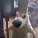 ㎡
