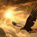 Tyrant的头像-博士钣金 - www.bsbanjin.com