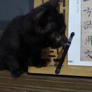 凇雾的头像-拟人圈