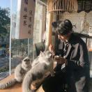 黄、杰鸿
