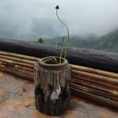 用户38382203的头像-音创社AI SonoCraft丨科技改变未来