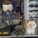 Griffon Studios转租