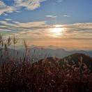 大知闲闲-梦马考研