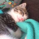 彳亍。的头像 - 校园论坛