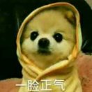 郑磊