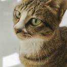 用户59555146的头像-正骨教程博客