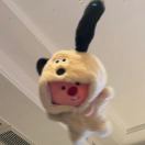 xuchen-吾爱GM手游