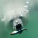 Manhattan Park转租