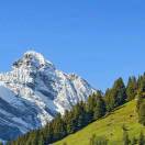 云淡风轻的头像-博士钣金 - www.bsbanjin.com