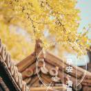 我的头像