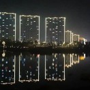张先生