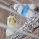 HoQu的头像-cg男孩