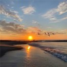 大伟的头像-博士钣金 - www.bsbanjin.com