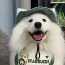 CloudyMind的头像-博士钣金 - www.bsbanjin.com