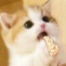 廖真藜