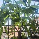 u客直谈实名认证聂国文