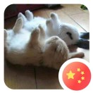 A. 健