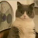 用户86303206-长游分享网