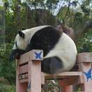 fff0103wwy的头像-汇聚千年易学精髓，尽在知蛛玄机