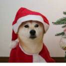 钱来钱来，钱从四面八方来