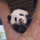 赖钇休的头像-博士钣金 - www.bsbanjin.com