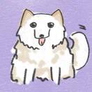 王贰松