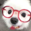 Riverside Point转租