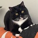 Working way-博士钣金 - www.bsbanjin.com