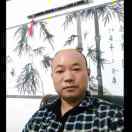 收废木材