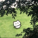 黎媛媛