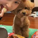 吃着薯片看日落的头像 - 浩宇工作室