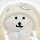 秋樂順的头像 - 校园论坛