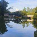 丰农农业有限公司