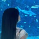 The Accolade转租&房东直租