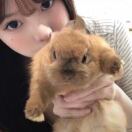 莫顺海