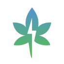 高级工程师