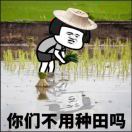 tools-棉花糖网络安全资源站