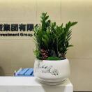 Profile picture of zhdawn