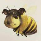 叫我宝贝的头像-梦马考研