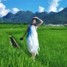 sun 佳佳