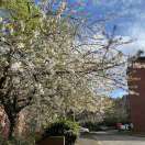 Find 1B1B (1 Bed 1 Bathroom) to rent in Manchester
