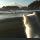 柒玖原创素材的头像-创薯资源