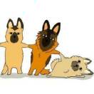 Profile picture of 97432648