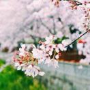 用户89625614的头像-博士钣金 - www.bsbanjin.com