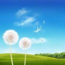 碳循旅人的头像-熵减岛