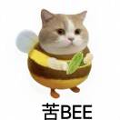 冯虎