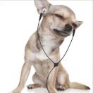 用户15259011的头像-秀琴曲谱网