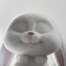 邓诗诗