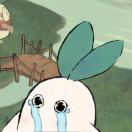 Iris****