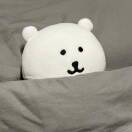 Kaplan Living Glasgow — Old Dumbarton Road转租&房东直租